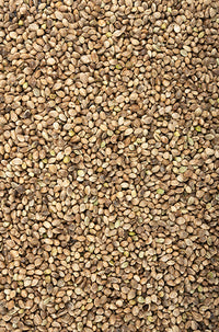 Organic Hemp Protein