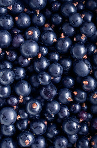 ViBERi™ Organic Blackcurrant