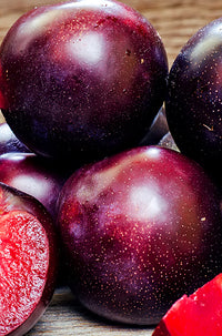 Queen Garnet Plum