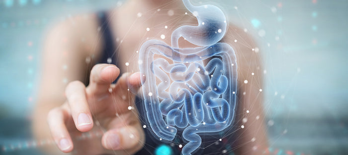 Gut Health Do's and Don'ts: Foods to Embrace and Avoid for a Healthy Gut