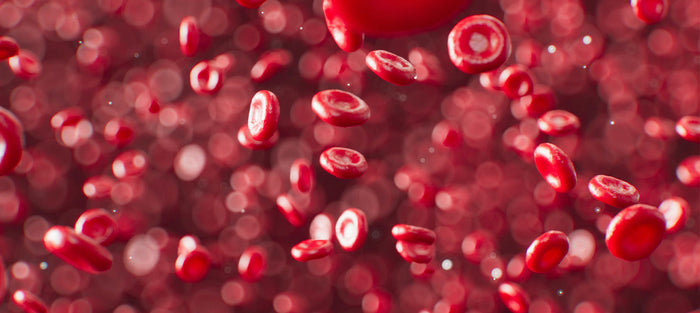 How Long Does It Take to Recover From Vitamin B12 Deficiency?