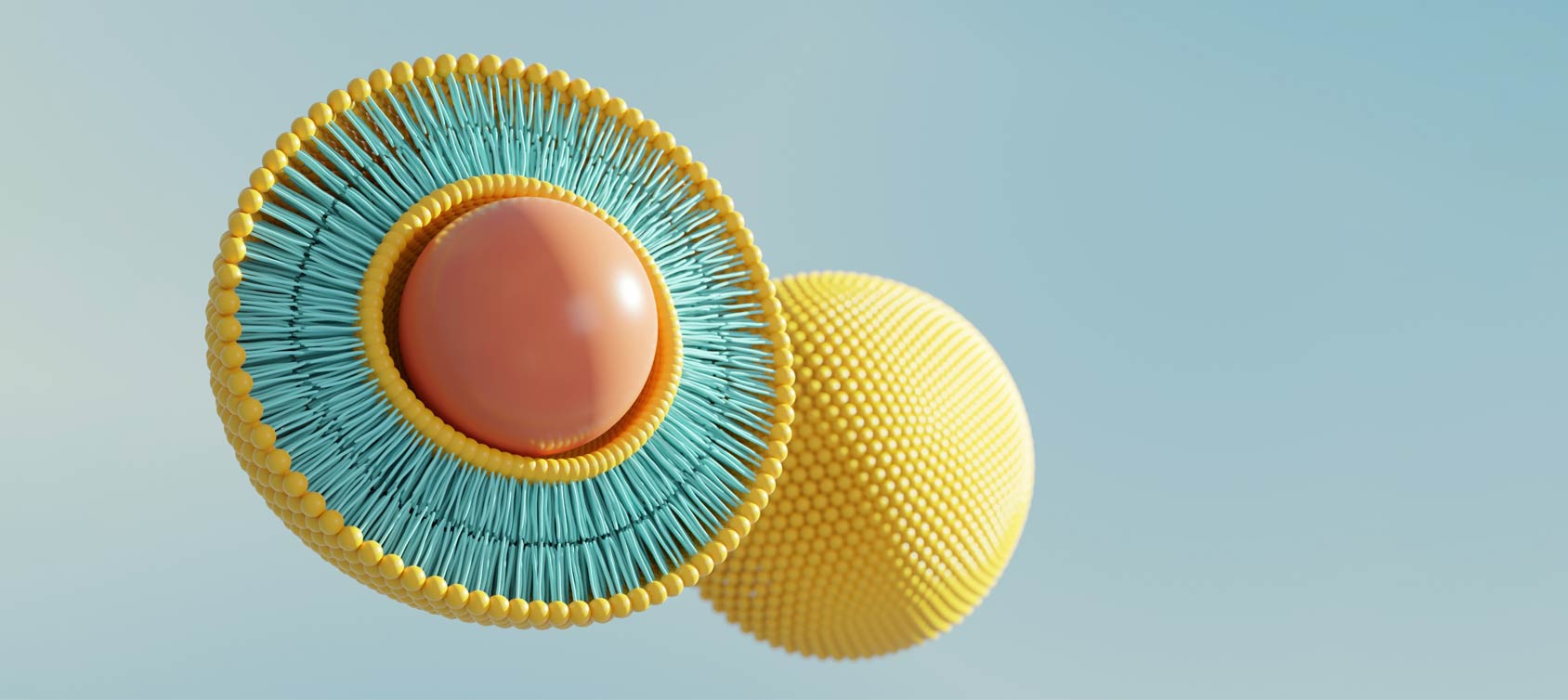 The Numerous Benefits of Liposomal Supplements Melrose Health