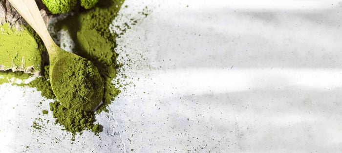 Should You Include Chlorella Powder to Your Diet?
