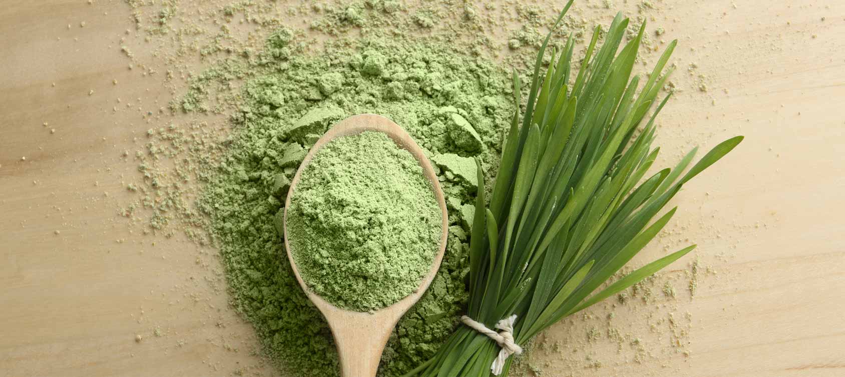 wheat grass powder manufacturer wheat grass powder manufacturer