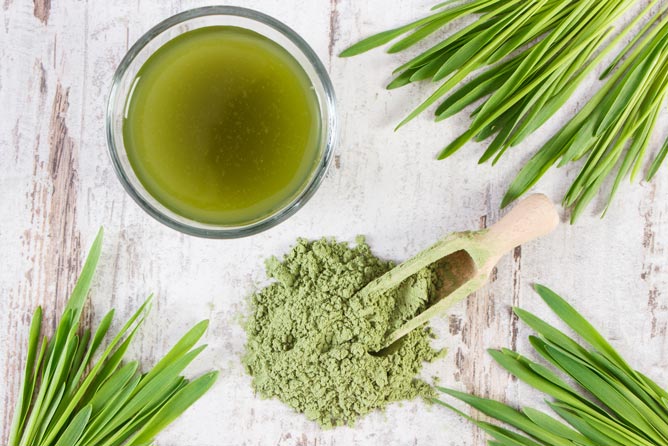 6 reasons why Wheatgrass is optimal to daily health