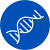 <p>Support healthy immune system function</p>