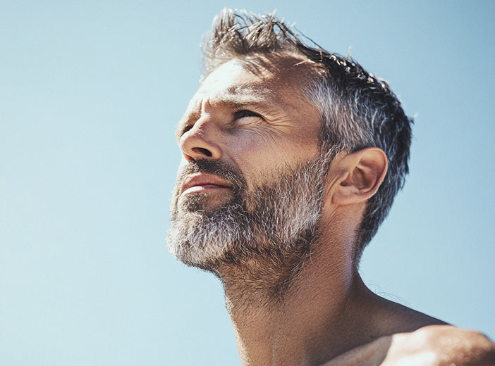 Testosterone Matrix Supplement | Melrose FutureLab – Melrose Health